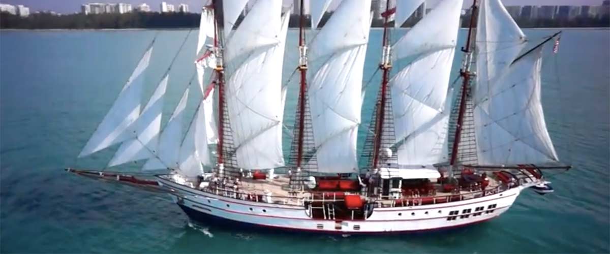 Royal Albatross Singapore