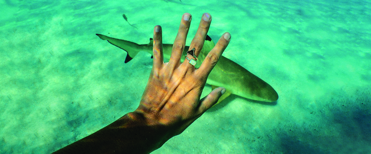 save a shark necklace