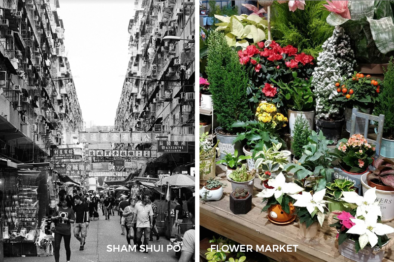 21 Things To Do Sham Shui Po Urban Street Market Flower Market Plants