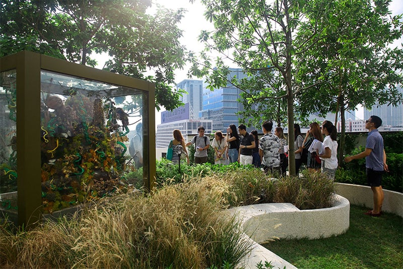 K11 Musea Nature Discovery Park Tour