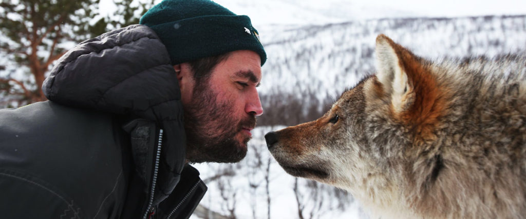 Polar Explorer Henry Cookson Nose to Nose with Wolf