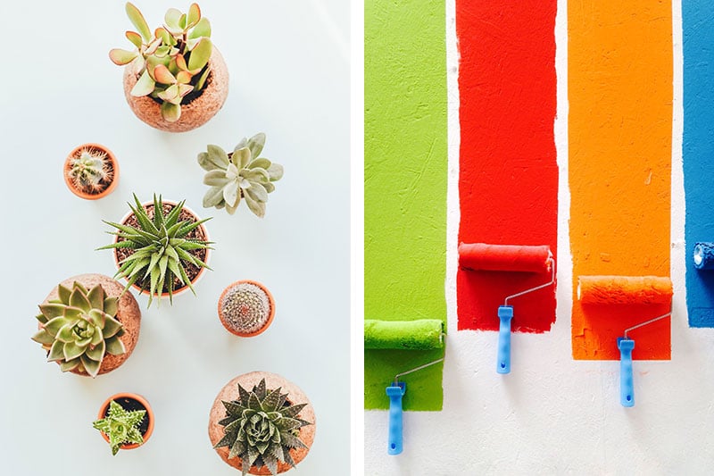 Desk Organisation Ideas Colours Plants