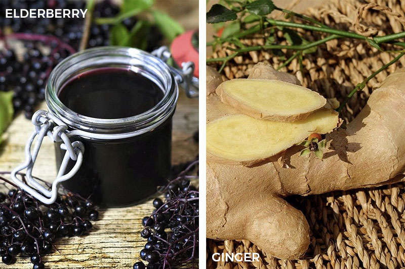 Chinese Medicinal Herbs to Boost Your Immune System Elderberry Ginger