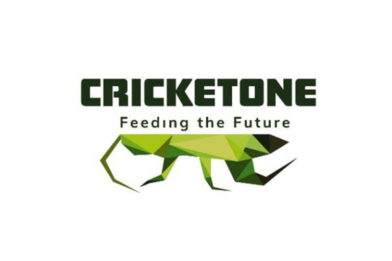 Cricket One This Vietnamese Startup Wants to Feed the World Crickets