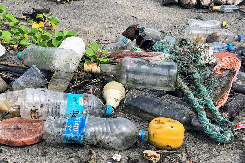 Plastic Bottles Pollution 