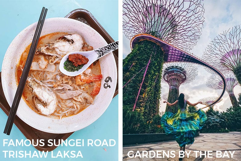 Singapore Things to Do Famous Sungei Road Trishaw Laksa Gardens by the Bay