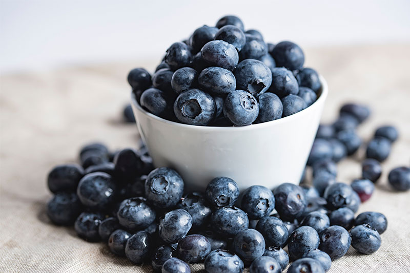 Healthy Diet Foods Blueberries