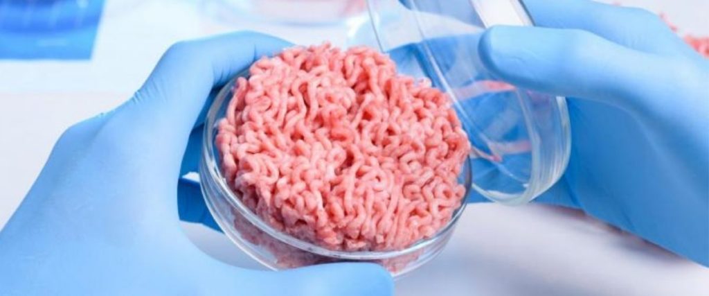 Disruptive Technology Cultured Meat