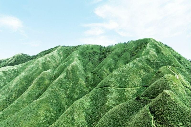 10 Best Hiking Trails in Taiwan Matcha Mountain
