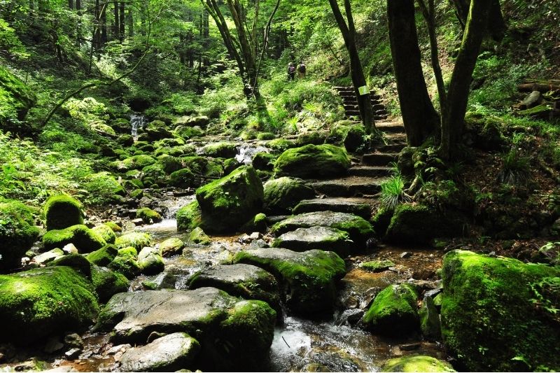 Mitake_10 Best Hiking Trails Near Tokyo, Japan