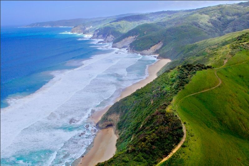 great ocean walk best hiking trails near melbourne australia