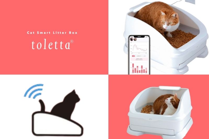 Toletta, cat litter box, pettech