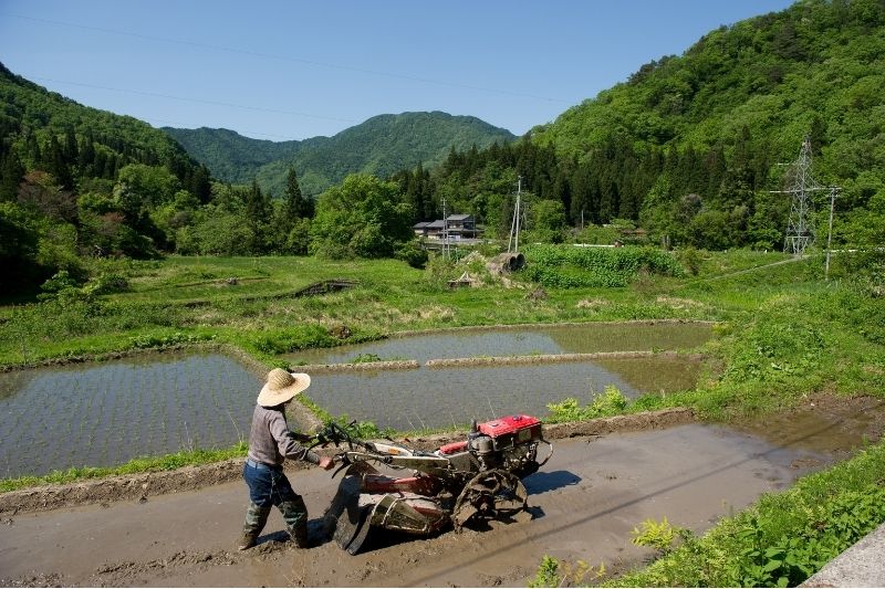 Farming in Japan_Your Guide to AgriTech in Japan