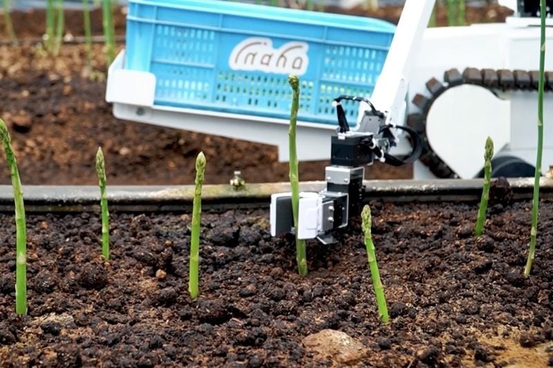 inaho_Your Guide to AgriTech in Japan