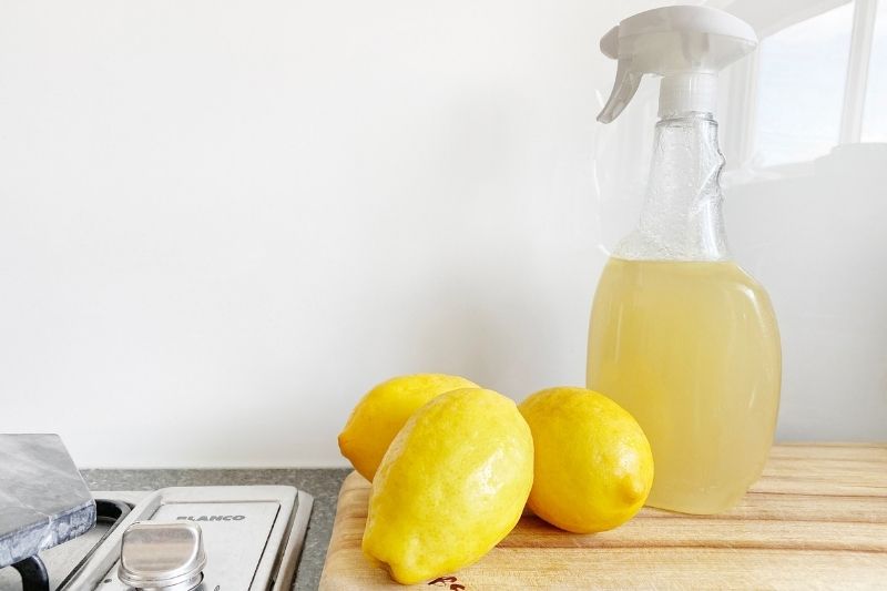 Lemon cleaning products_8 Ways To Make Your Home More Environmentally Friendly
