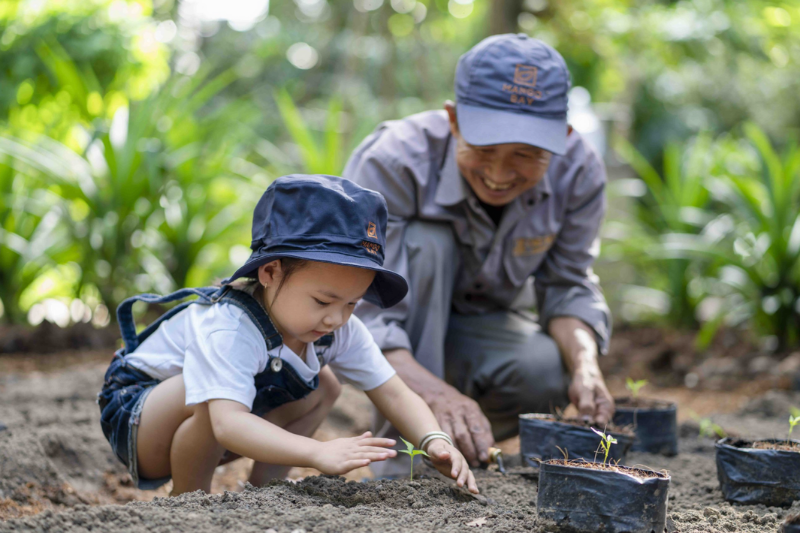 planting plants_The Top Eco Hotels in Vietnam