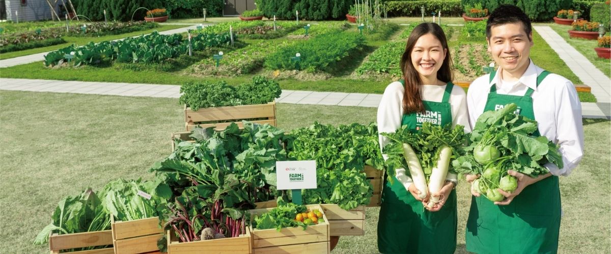 Farm Together: How Sino Group is Cultivating Hong Kong’s Urban Farming Scape