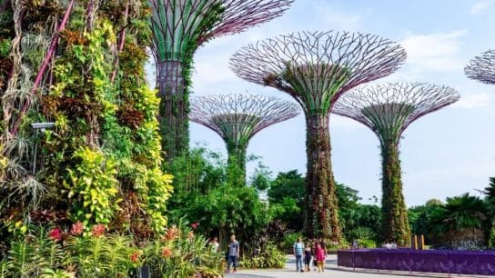 Green Infrastructure Guide: 7 Ways to Build a Sustainable Ecosystem within Urban Cities in APAC