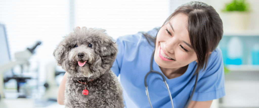 AlgoGroup Partners with Grow_pet care