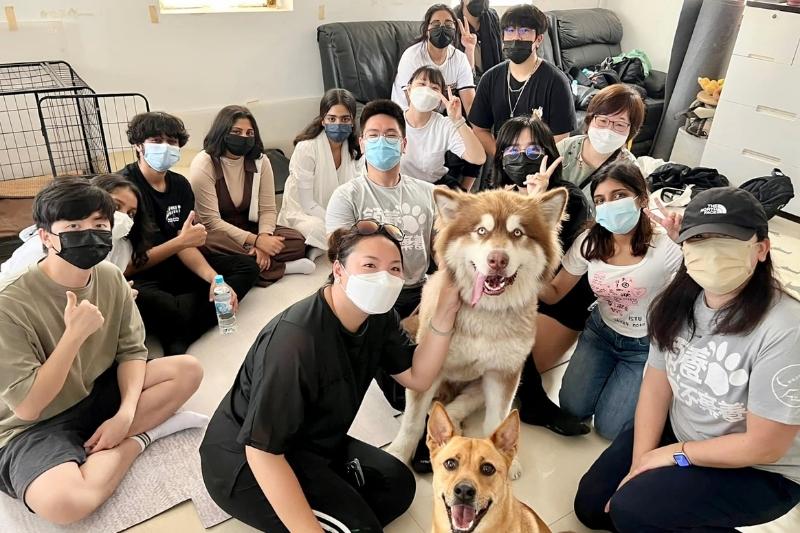 Adopt Pet Hong Kong_Home For Homeless Dog
