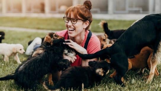 7 Animal Shelters in Melbourne to Adopt Your Next Pet From and Support