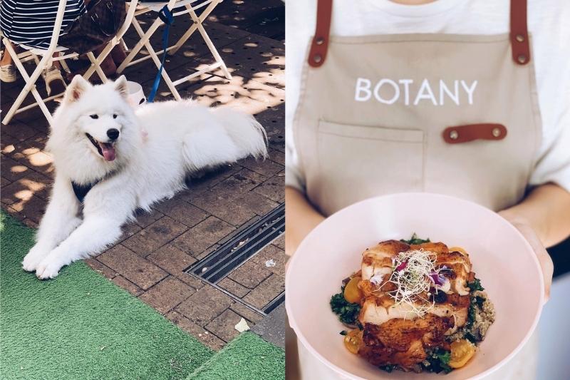 Botany_Pet friendly restaurants Singapore