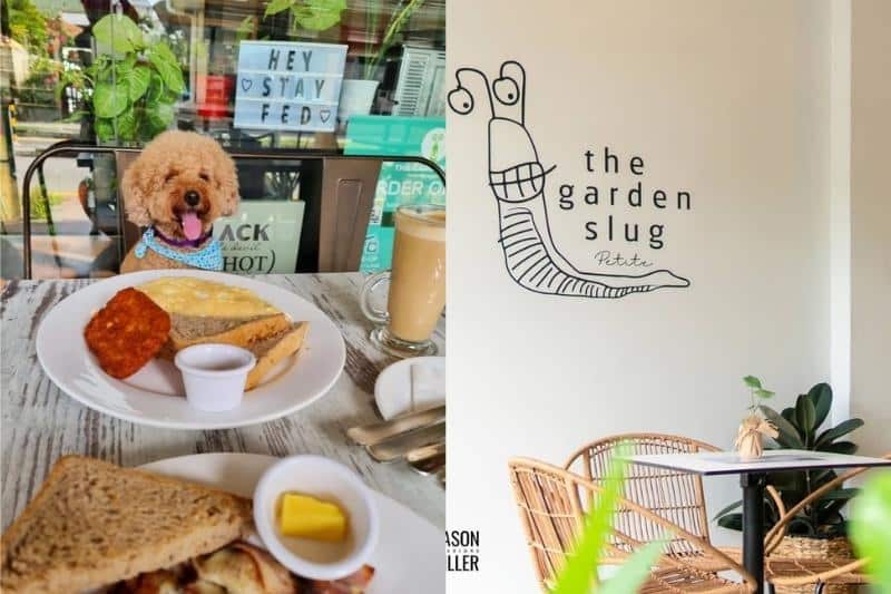 The Garden Slug_Pet friendly restaurants Singapore