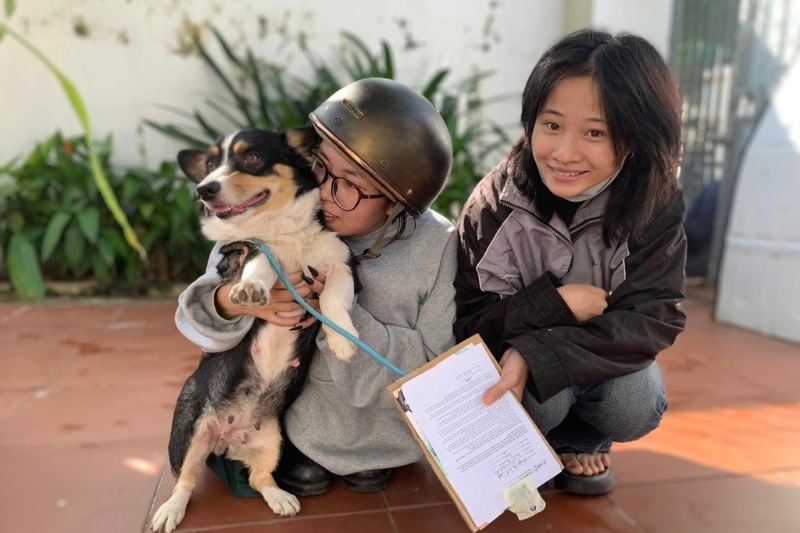 Vietnam Pet Adopt_Paws for Compassion