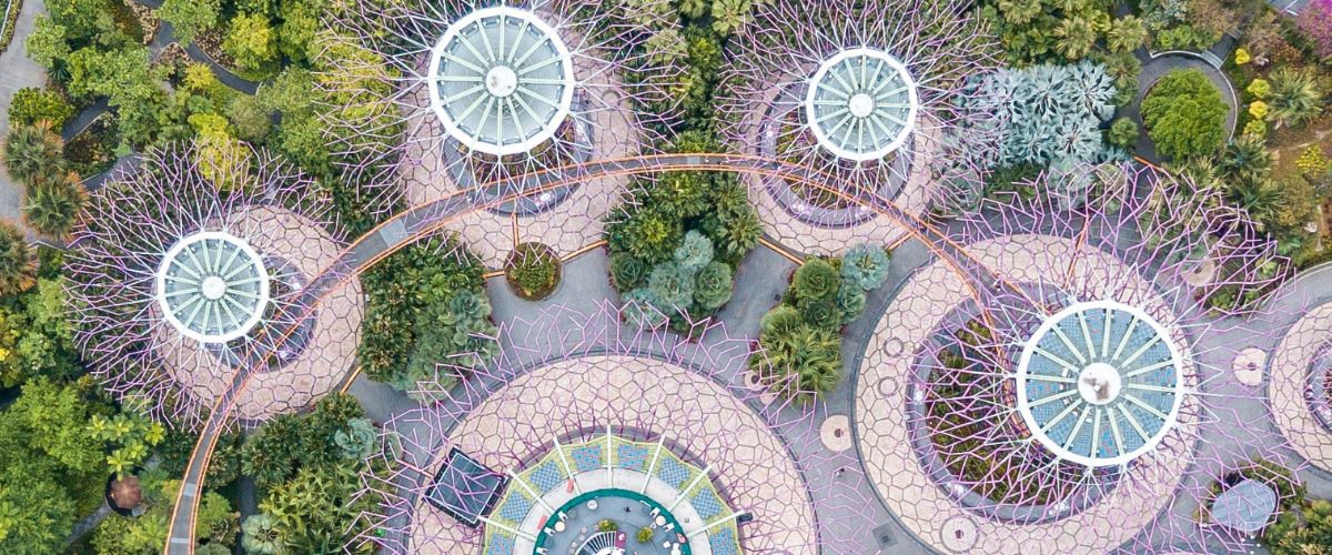 Government Support Fundamental to Fostering Green FinTech Ecosystem in Asia