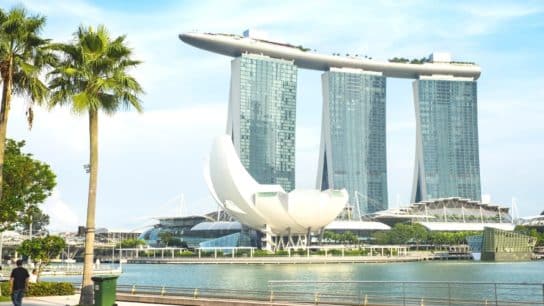 Singapore Names its First Government Chief Sustainability Officer