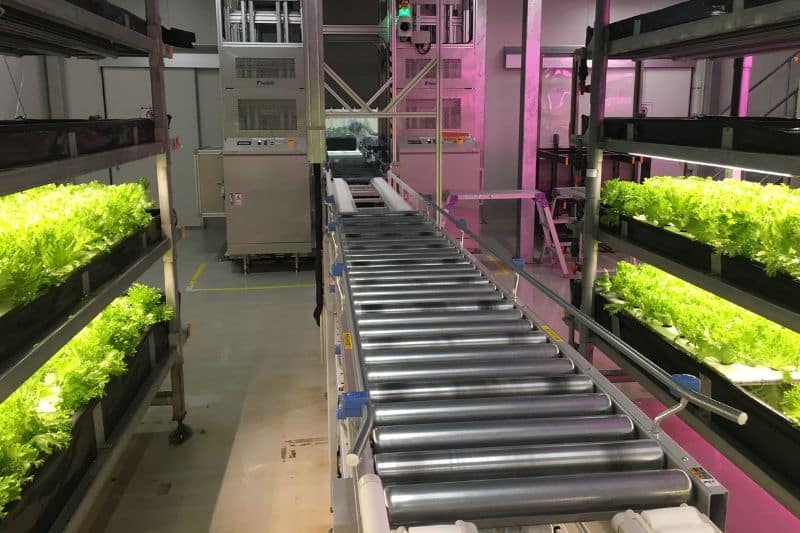 Japanese AgriTech Startup Farmship Leverages AI to Reduce Food Loss