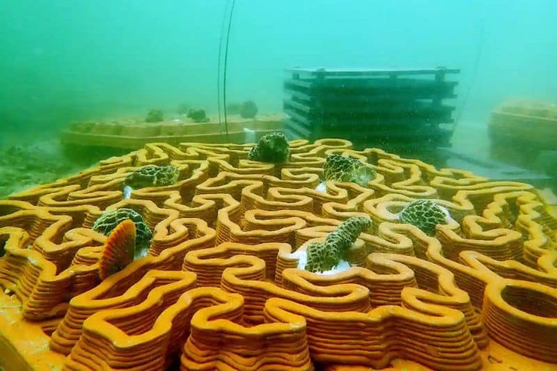 Hong Kong Startup 3D-Printed Coral Reef Archireef Secures Funding from Purpose Venture Capital & Carbon Zero