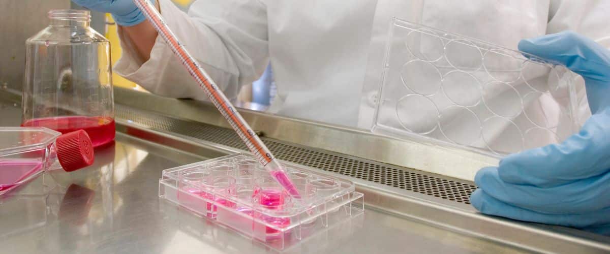 Singaporean BioTech Company SCG Cell Therapy Raises US$8.1M at $210M ...