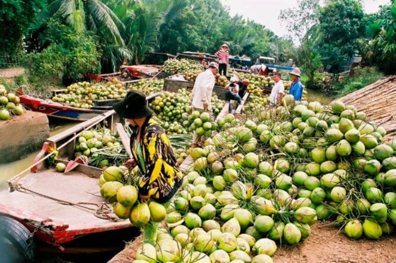 coconut industry Vietnam